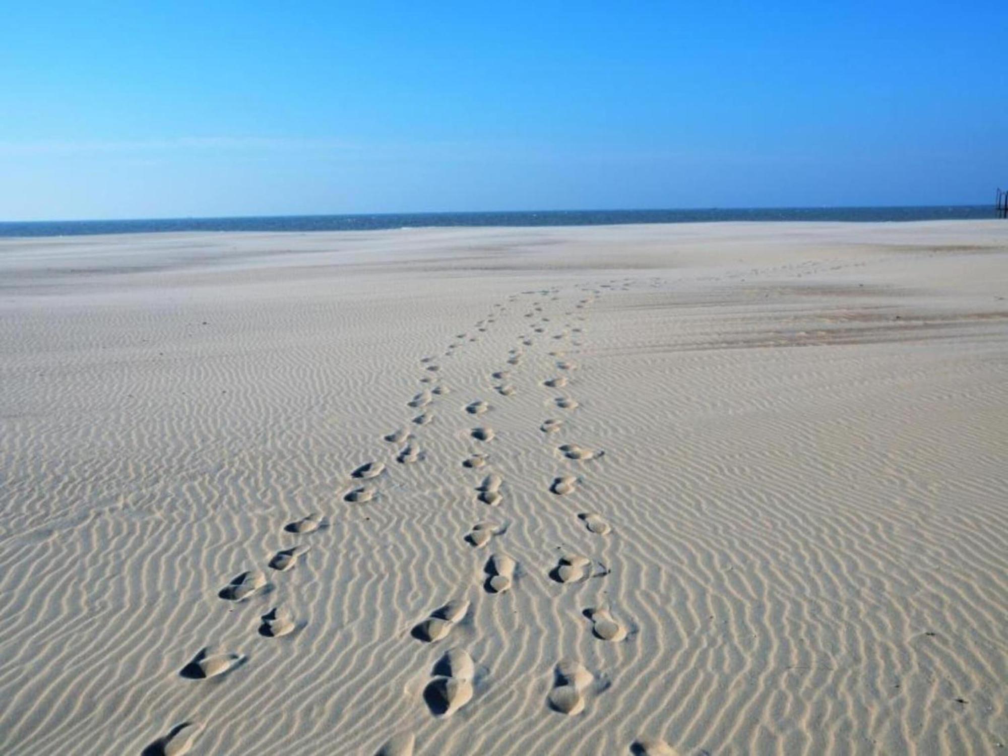 Comfortable Apartment In Oostende With Sea Views 외부 사진